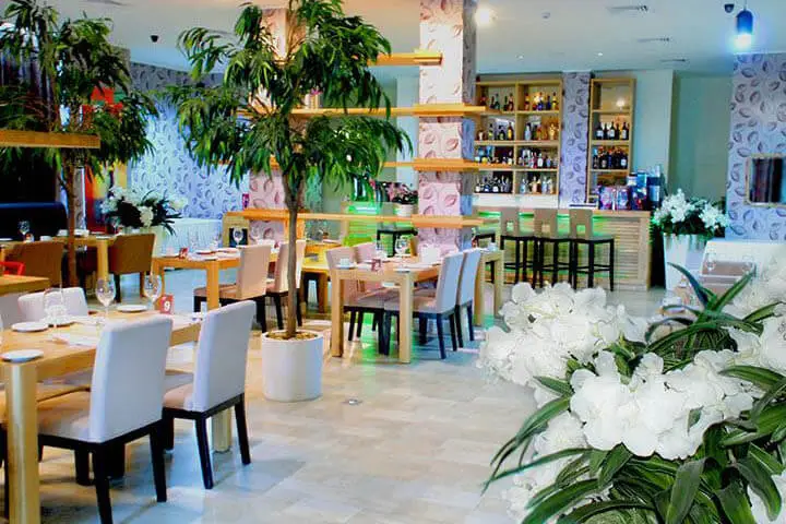 Aray Deluxe суреттері