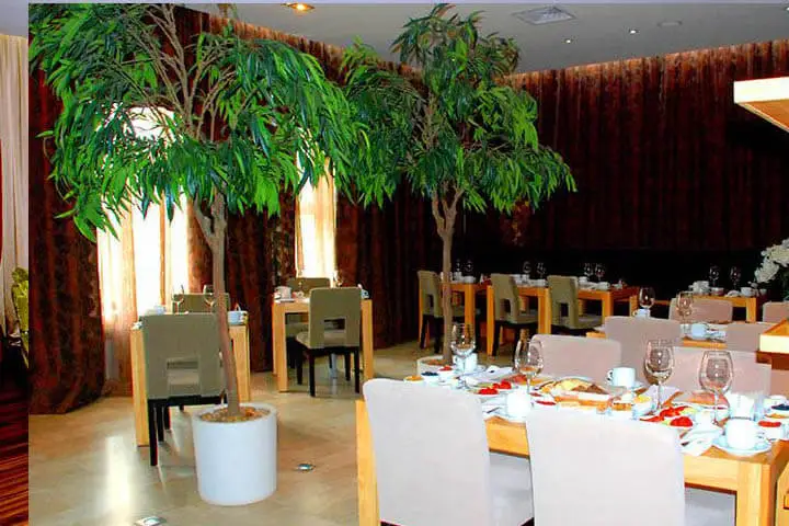 Aray Deluxe суреттері